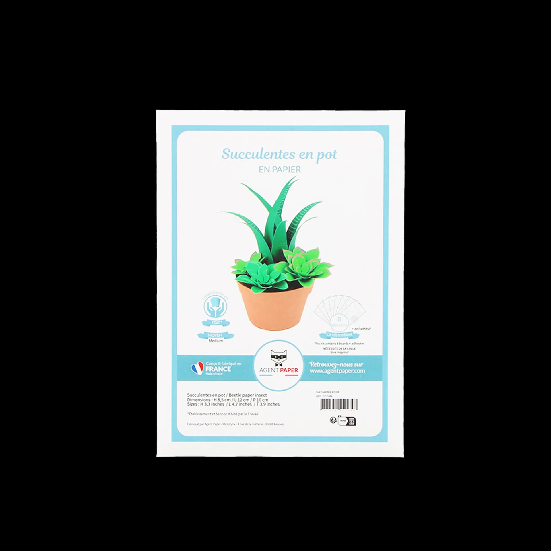 Kit Succulentes en papier