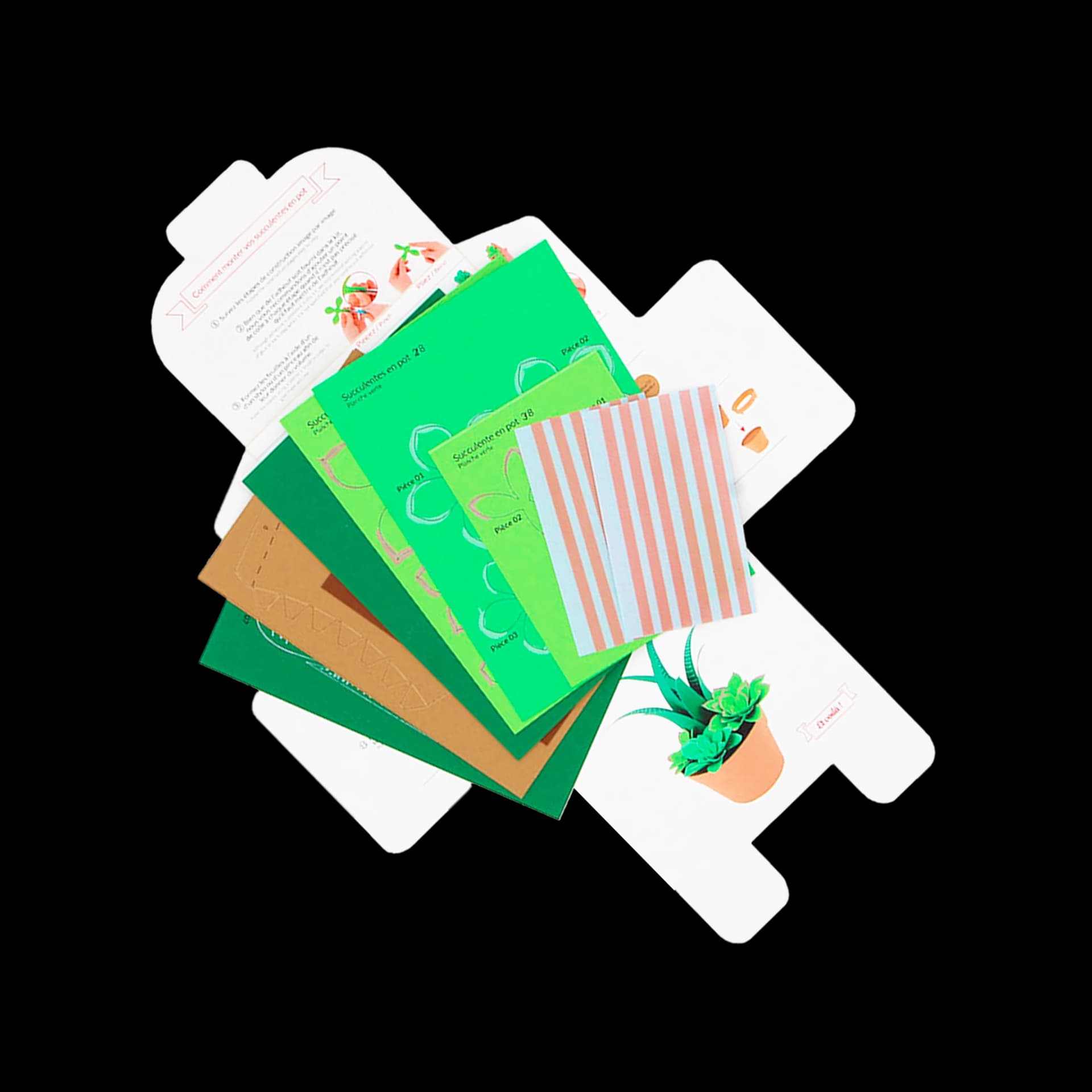 Contenu du kit Succulentes en papier