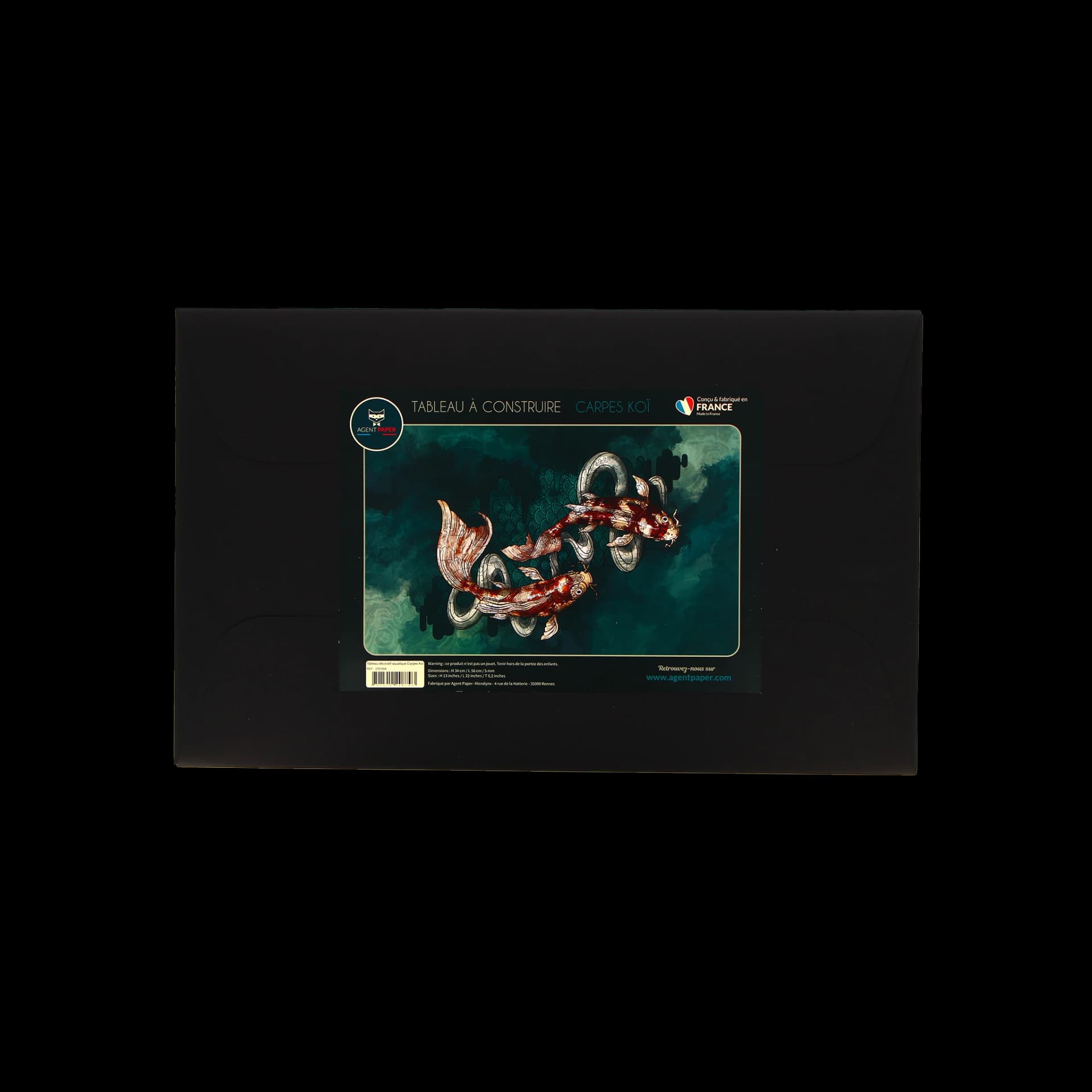 Kit du Tableau aquatique décoratif Carpes Koi