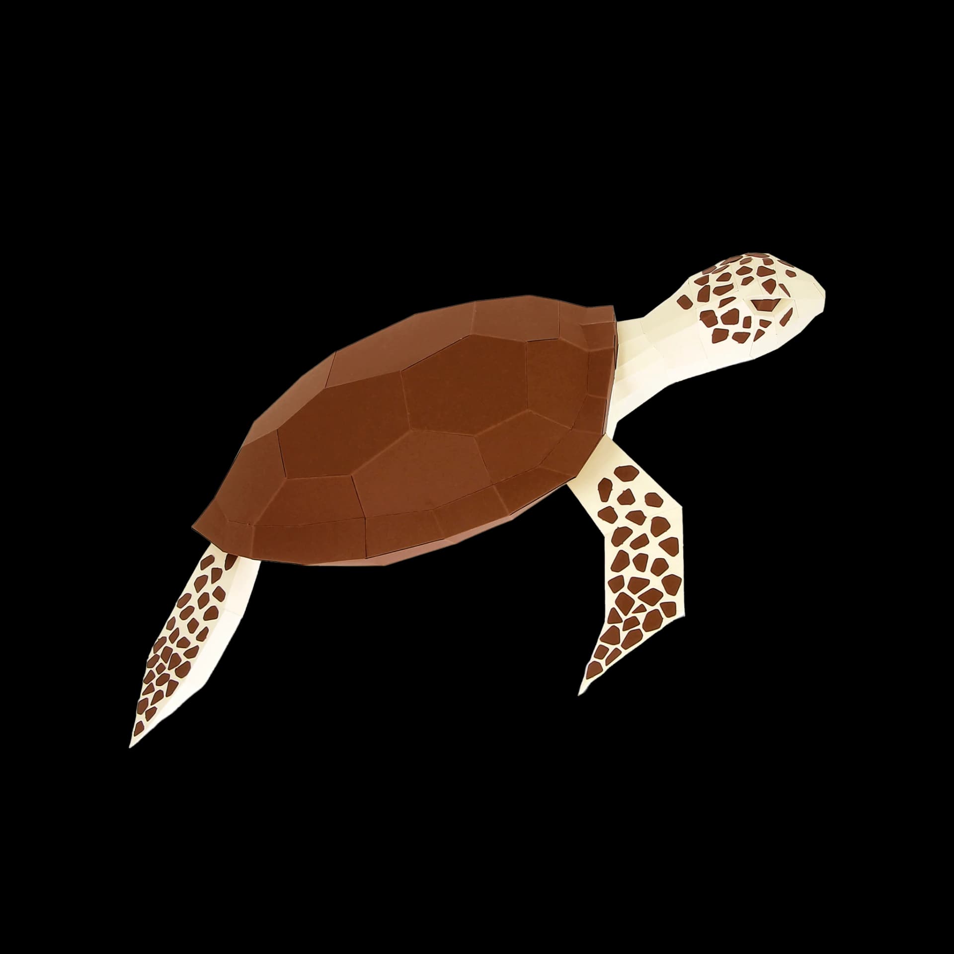 Tortue marine