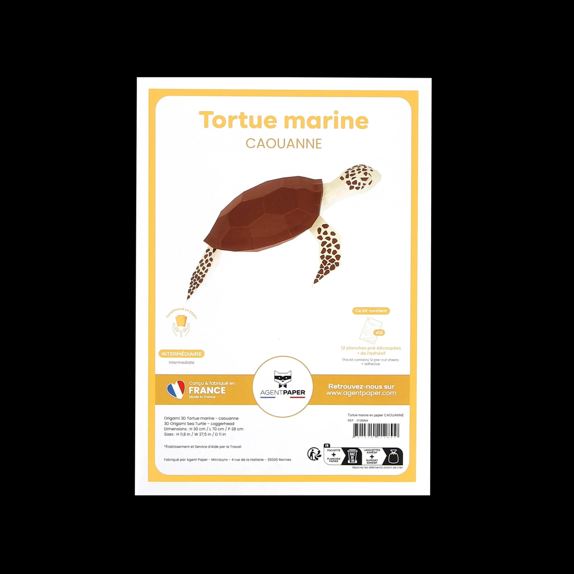 Kit origami 3D en papier tortue marine caouanne