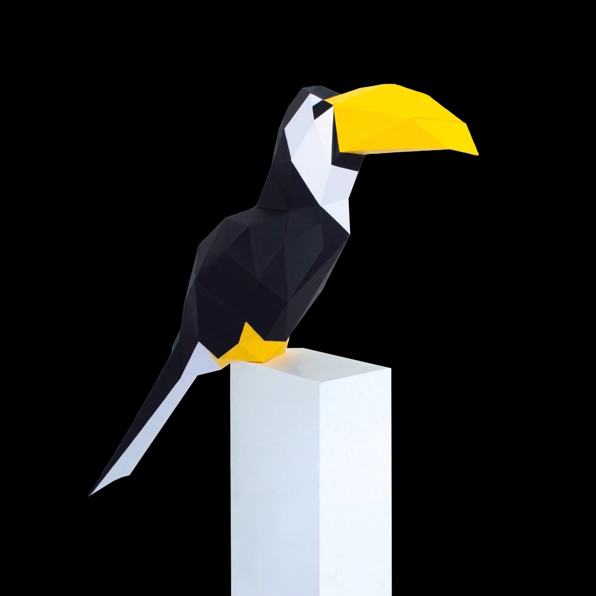 Toucan