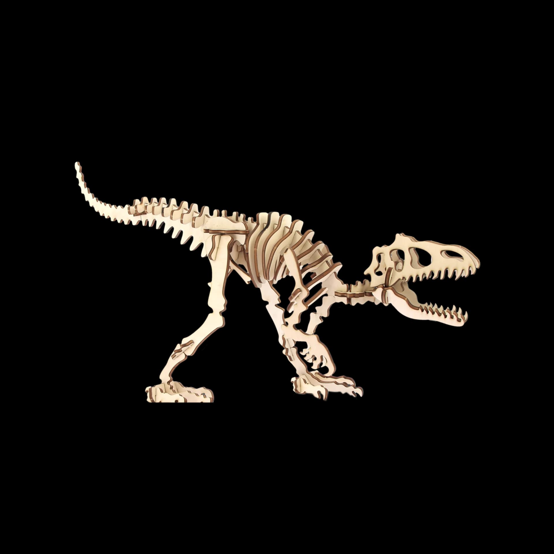 Tyrannosaure