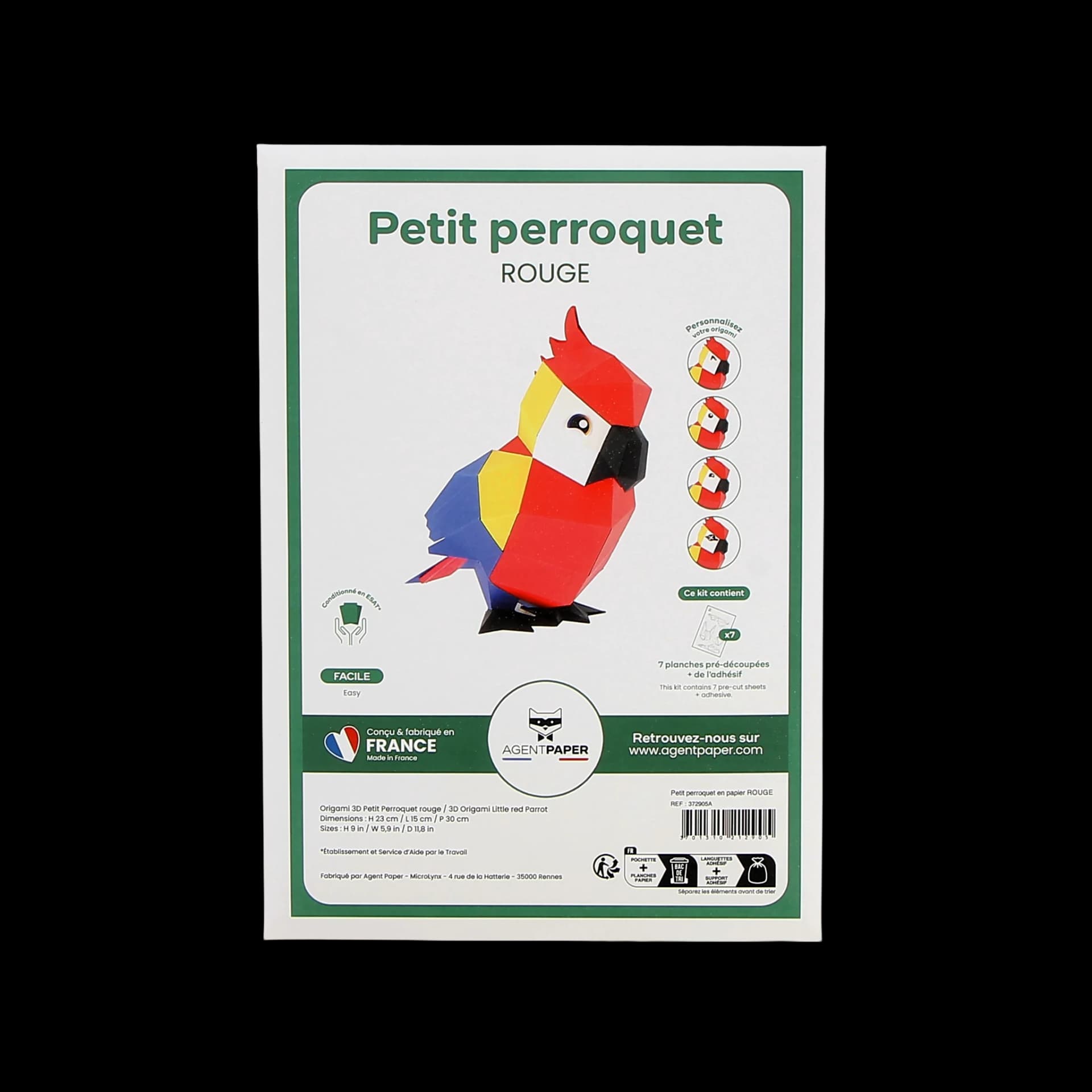 Petit Perroquet - vue 3