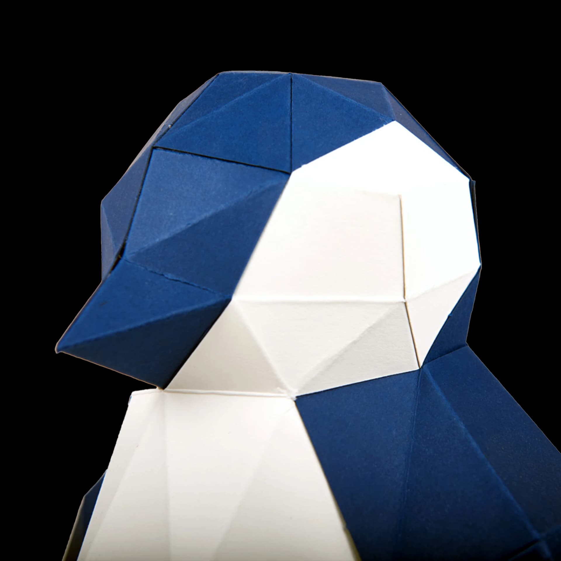 Pingouin - vue 3