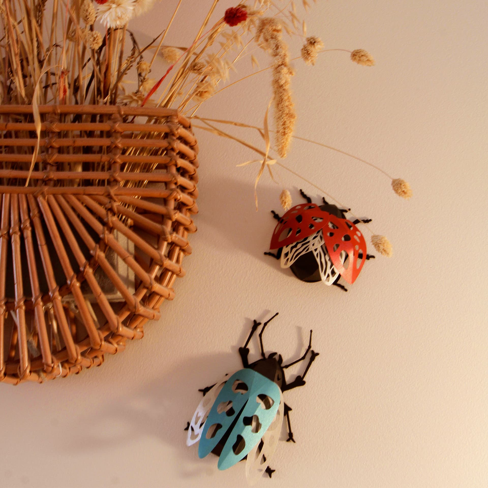 Insectes - vue 4