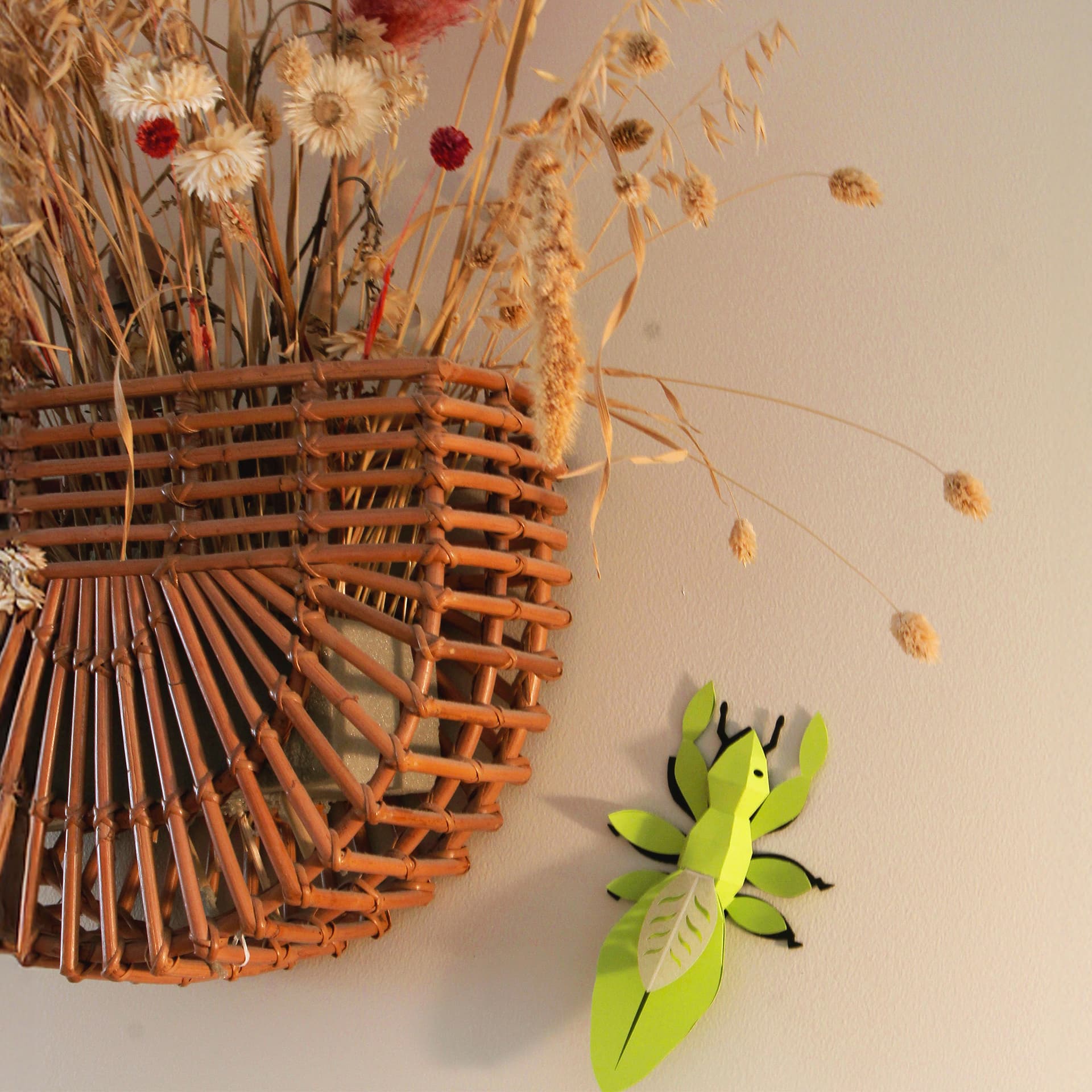 Insectes - vue 2