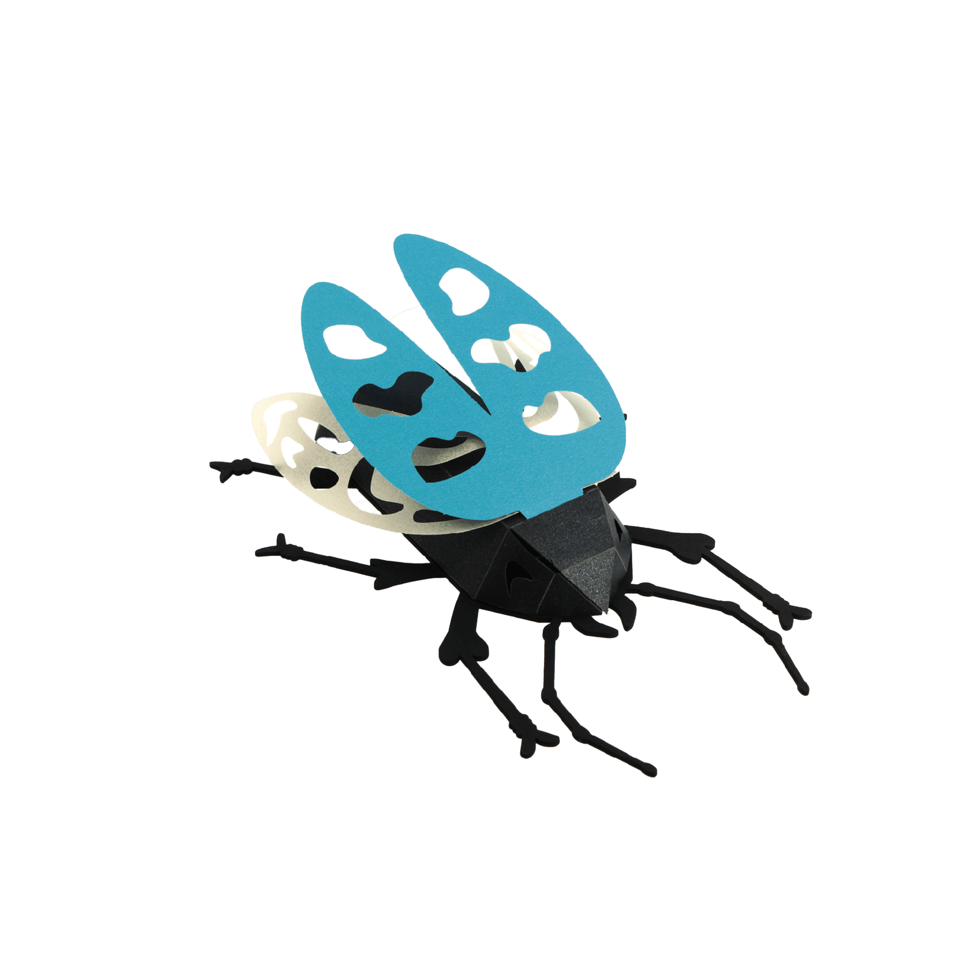 Insectes - vue 3