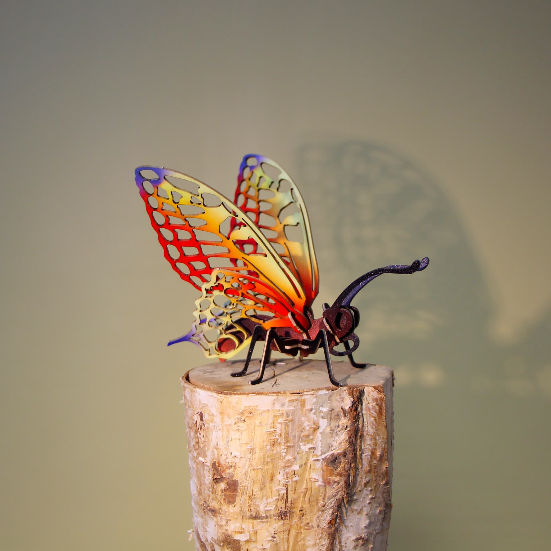 Petite bête papillon - vue 2