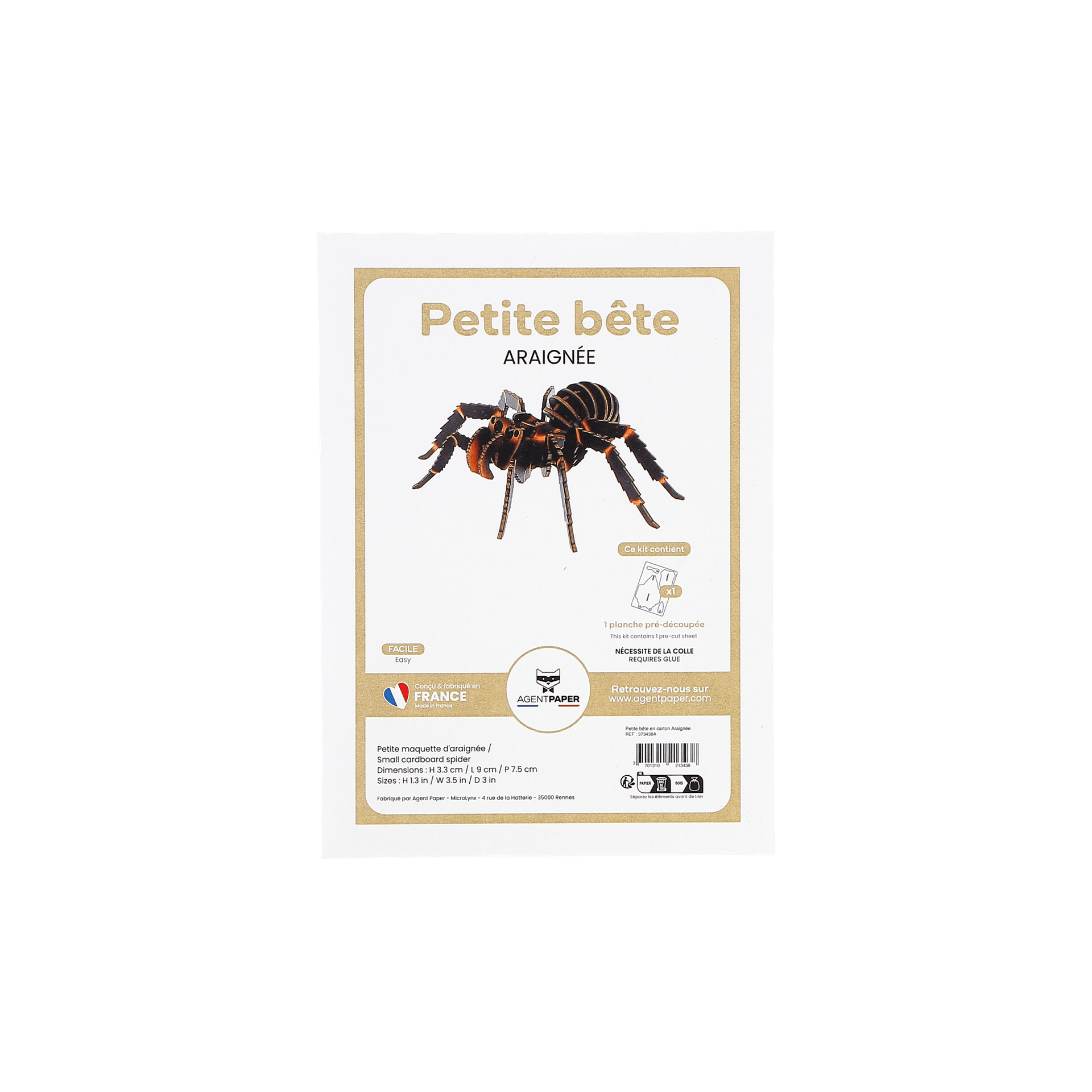 Petite bête araignée - vue 3