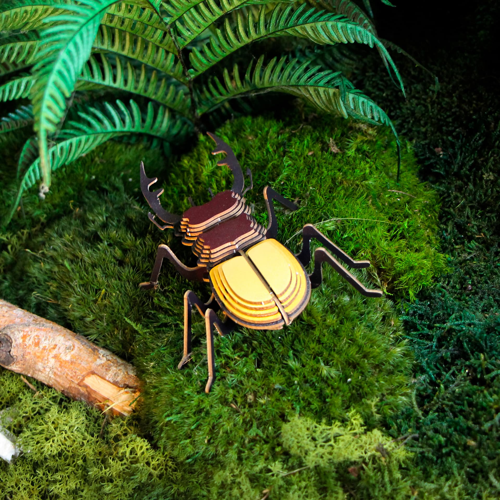 Insecte - Lucane géant de Ludeking - vue 2