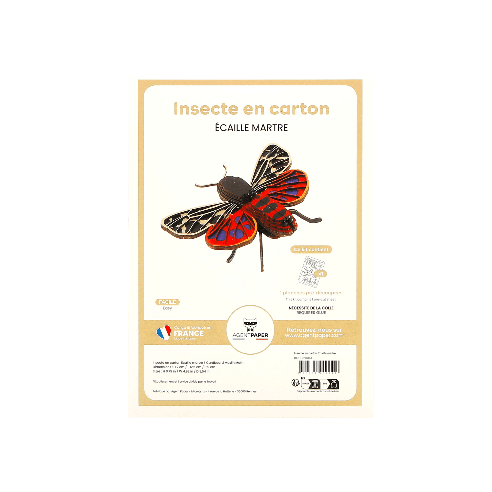 Insecte - Écaille martre - vue 3
