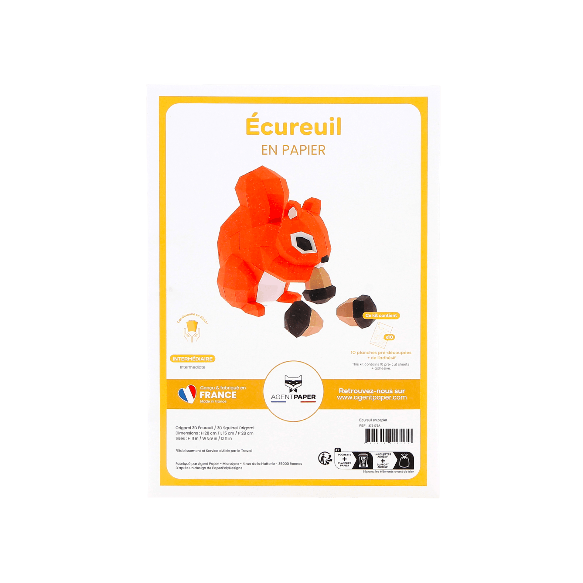 Écureuil - vue 3