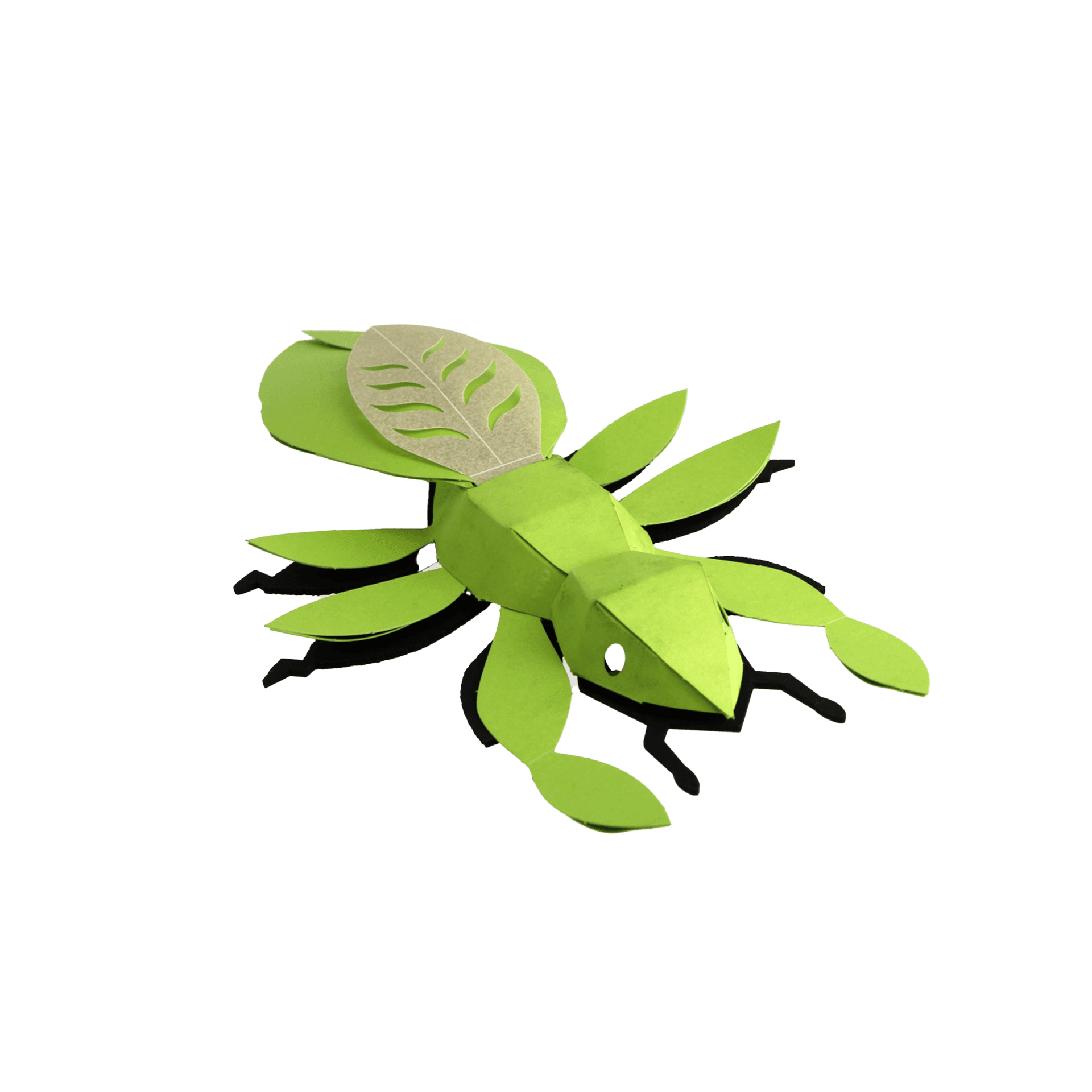 Insectes
