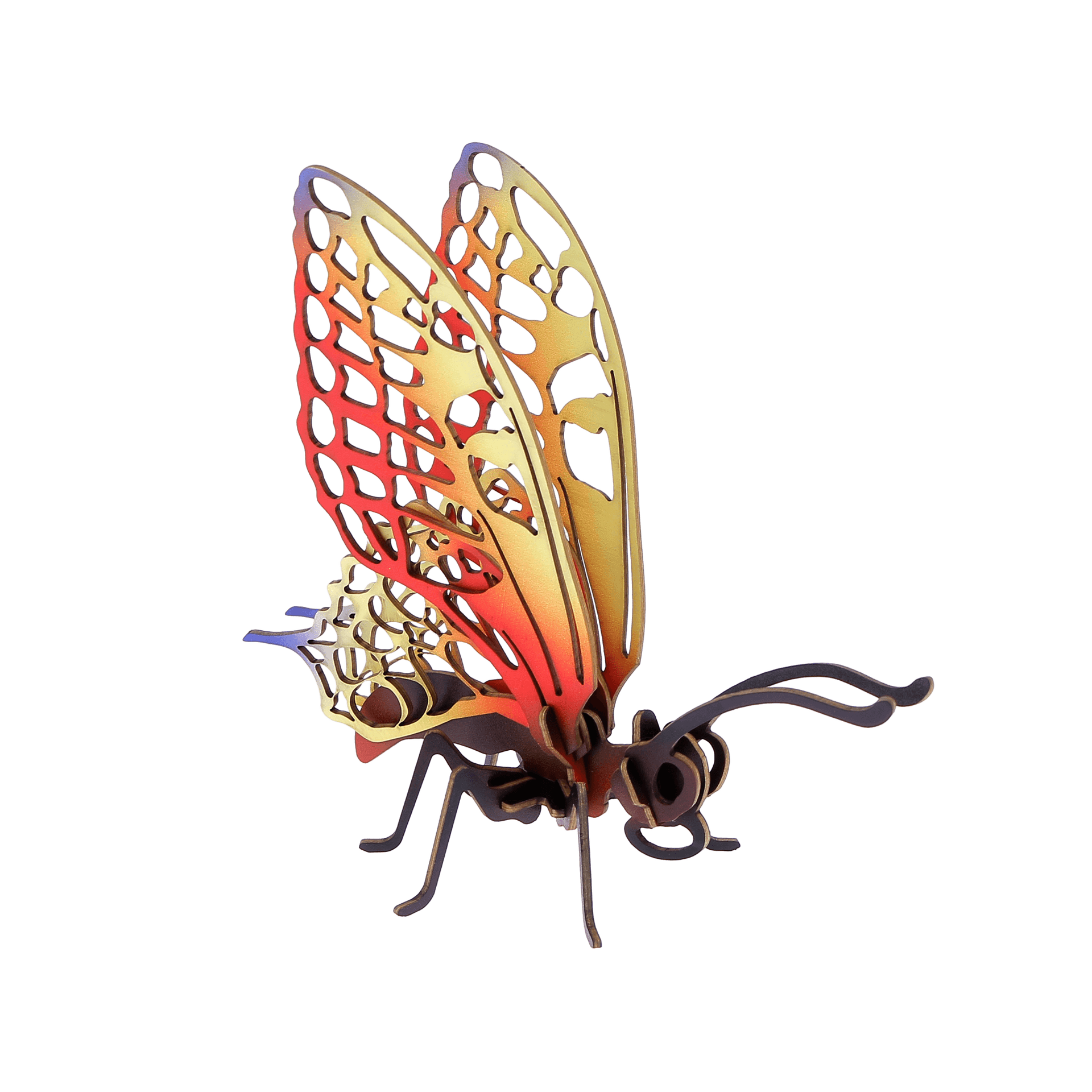 Petite bête papillon