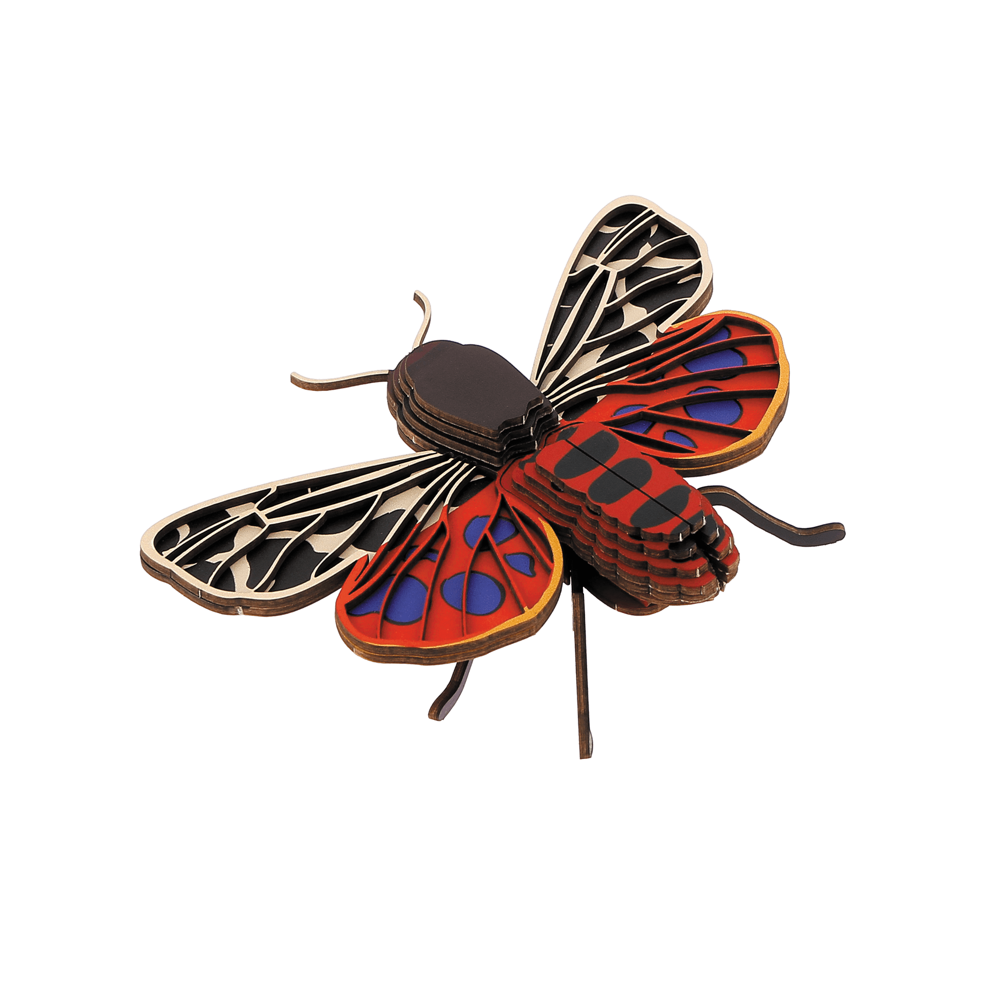 Insecte - Écaille martre