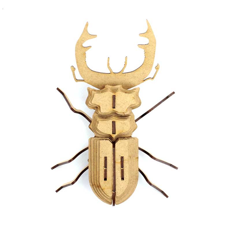 Insecte - Mordicus