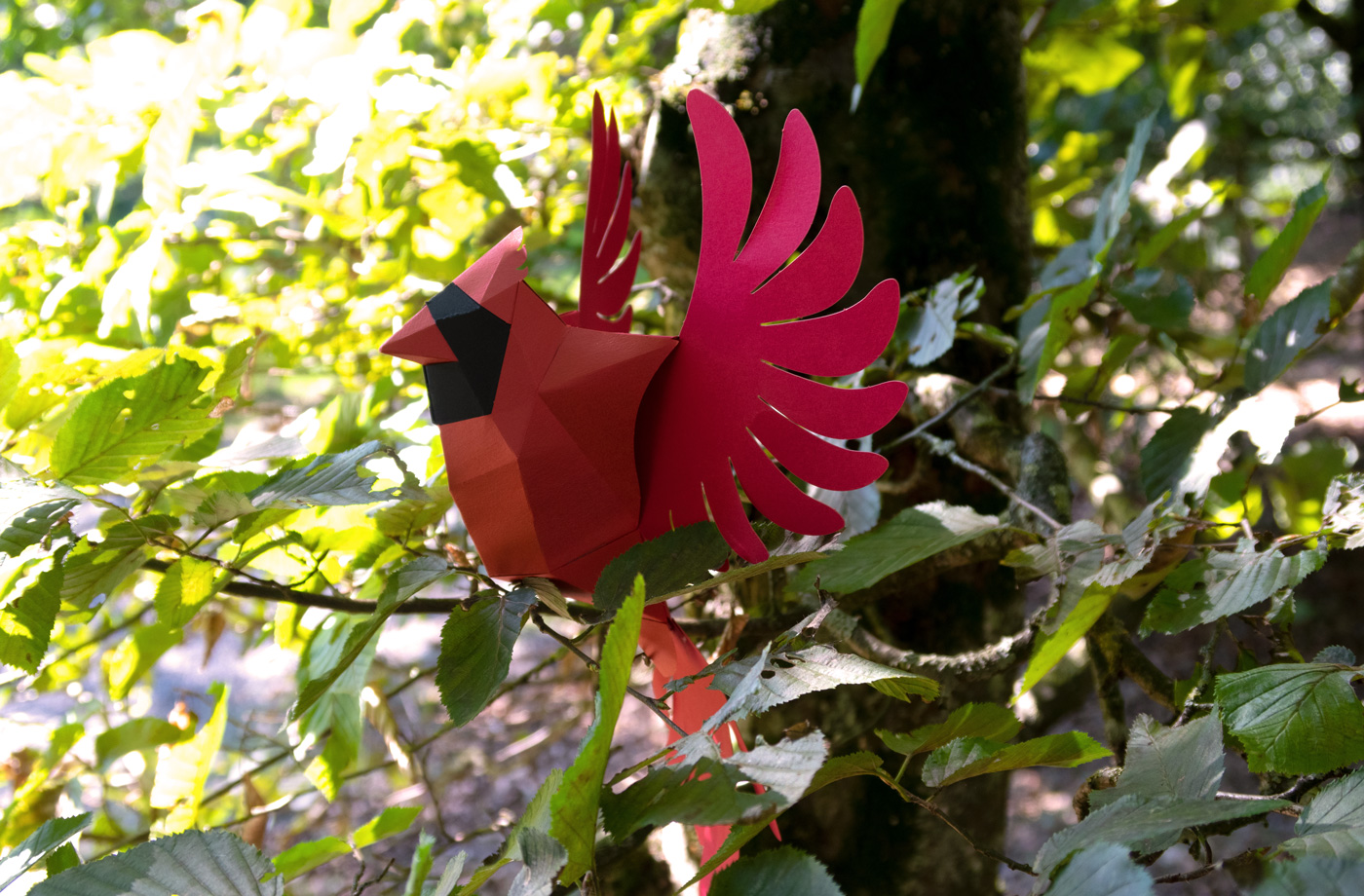 Cardinal en papier 3D