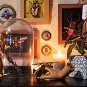Kit petits insectes