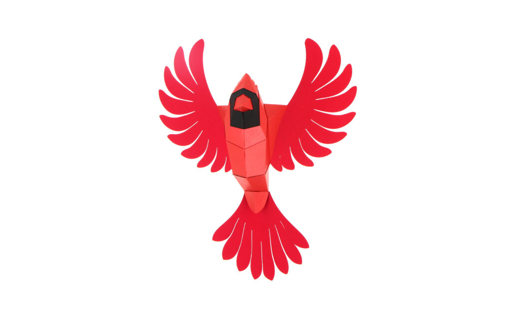 cardinal-packshot.jpg