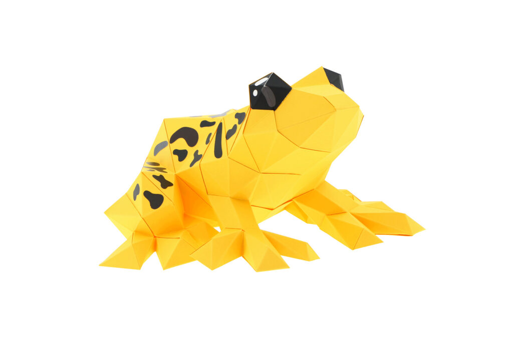 grenouille-jaune-packshot-1.jpg