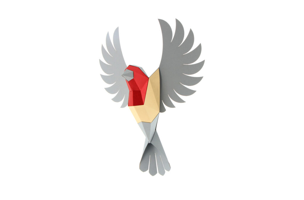 oiseau-rouge-gorge-packshot.jpg