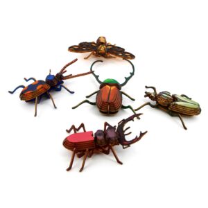 Kit petits insectes