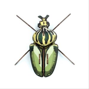 Insecte - Globulus giganticus