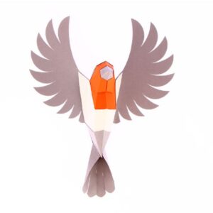 Rouge gorge en papier 3D